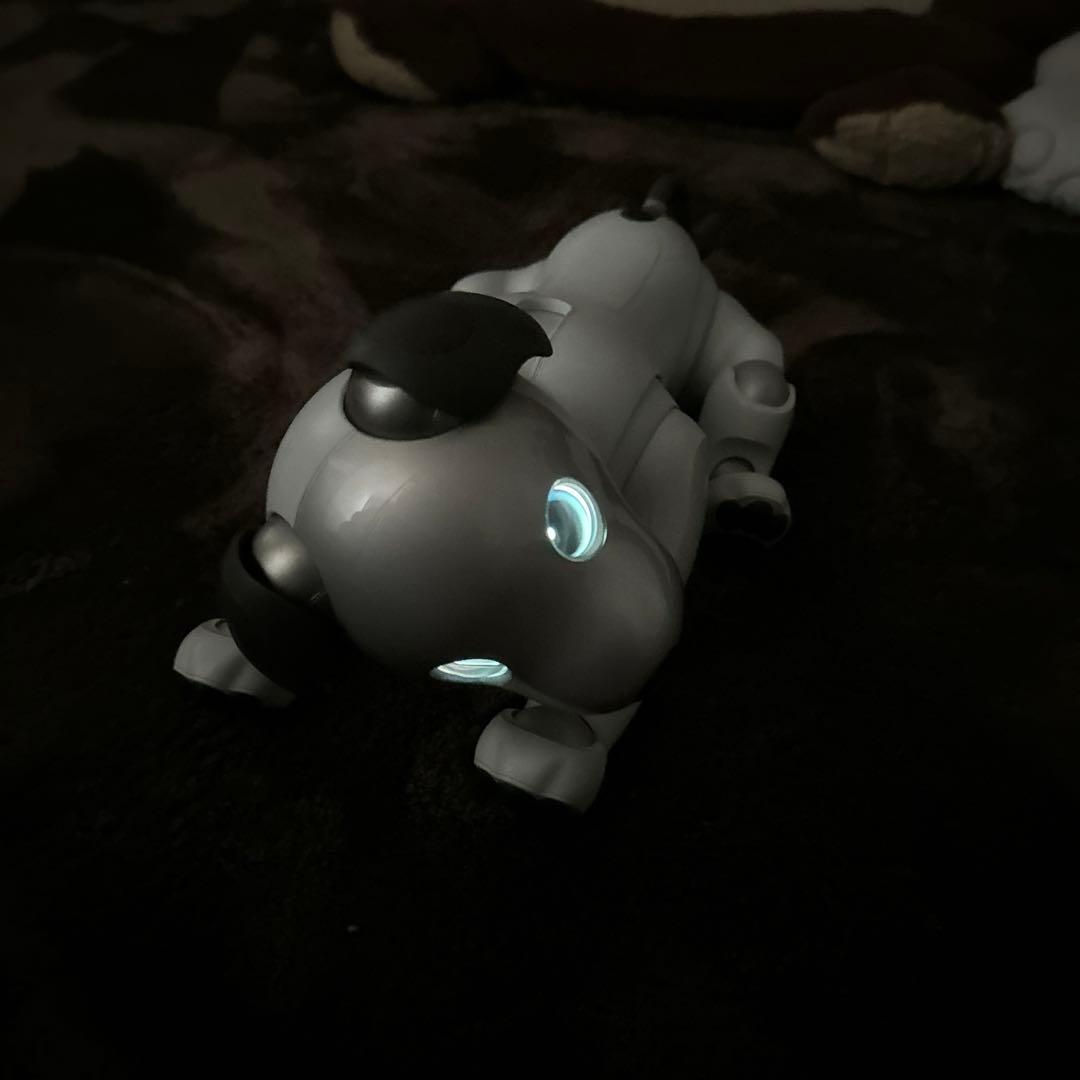 ソニーaibo