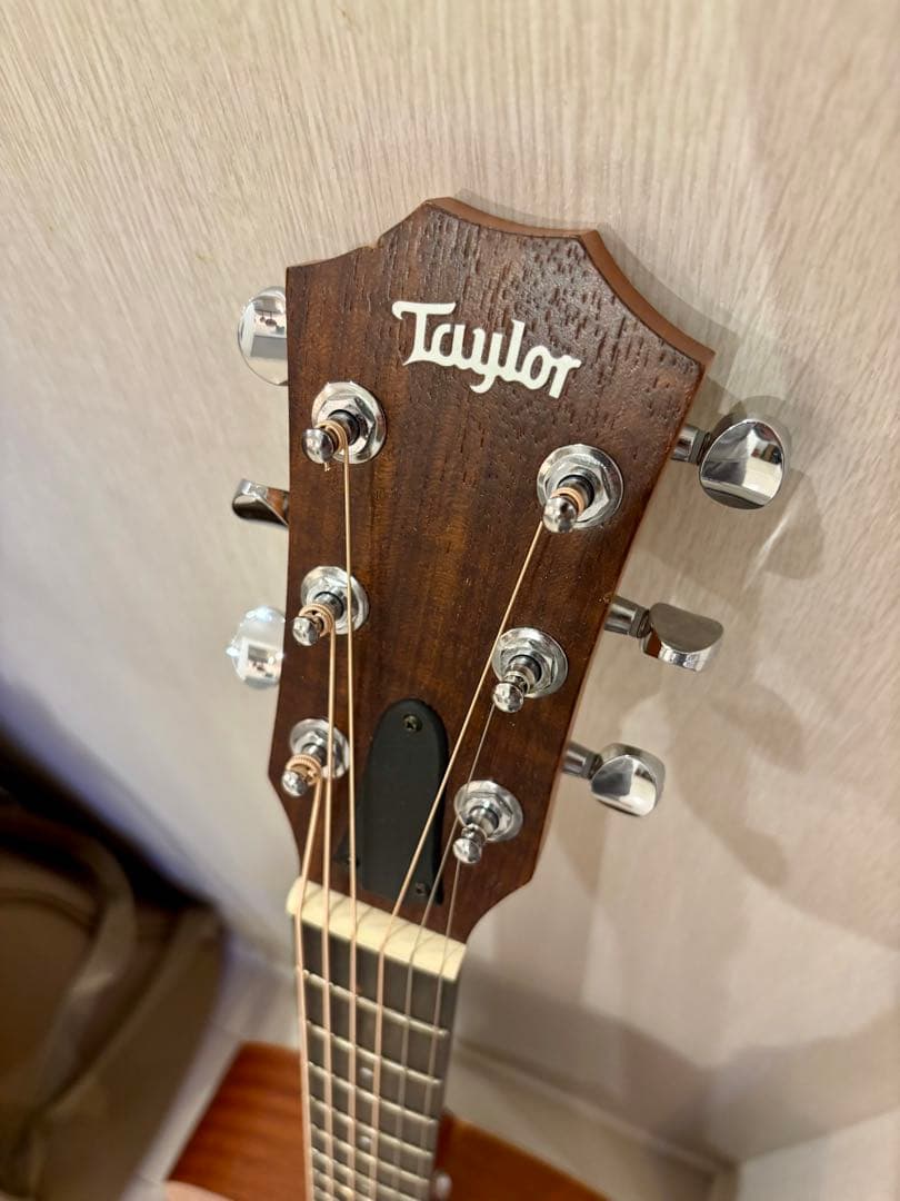 Taylor GSmini-e mahogany テイラー　エレアコ