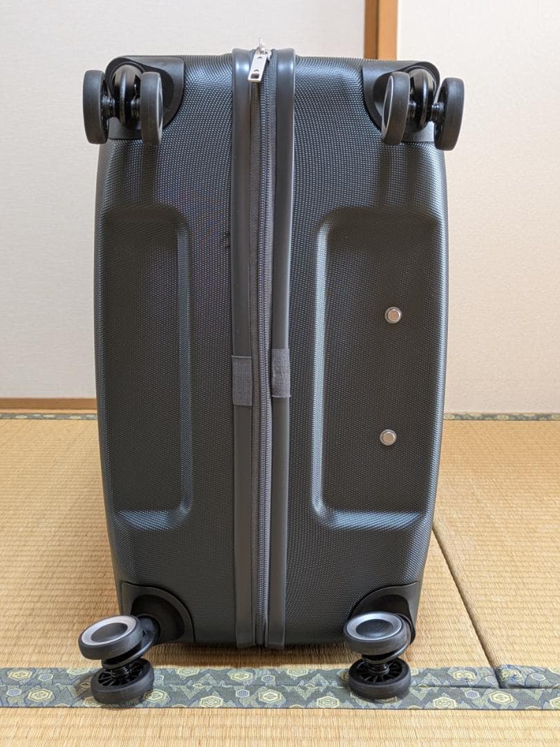 アメリカンツーリスター ツイストウェーブス スピナー77 Lサイズ