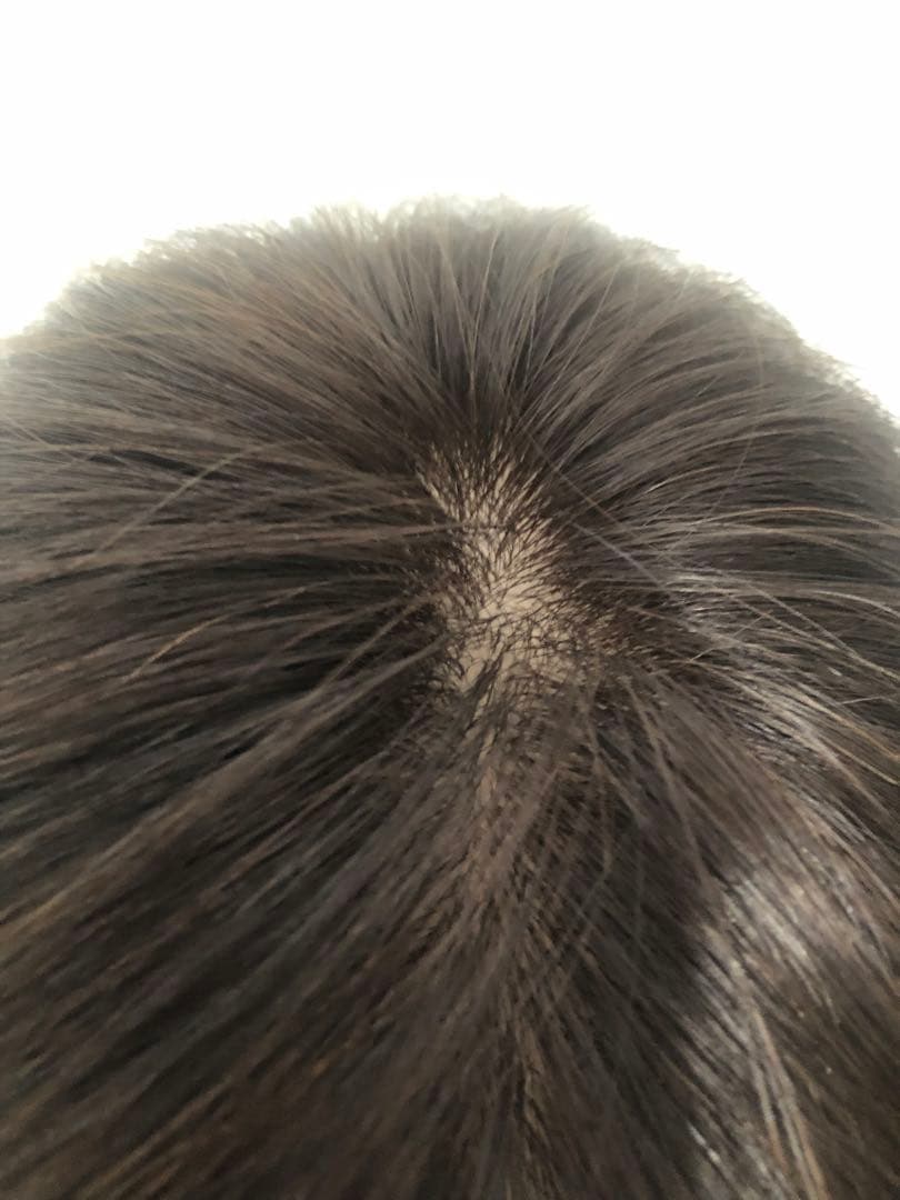 人毛王道ショートウィッグ ブラウン　未使用