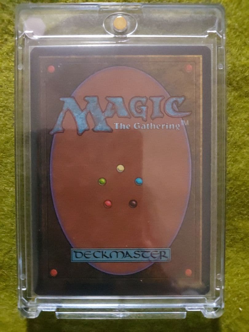 新品 MTG Tropical トロピカルアイランド イタリア語版