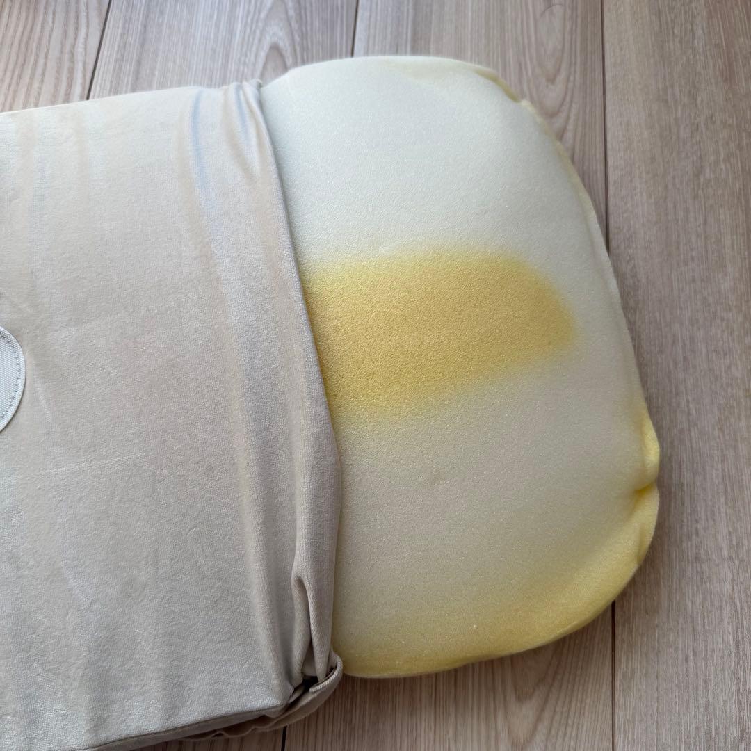 pldan ペットキャリー