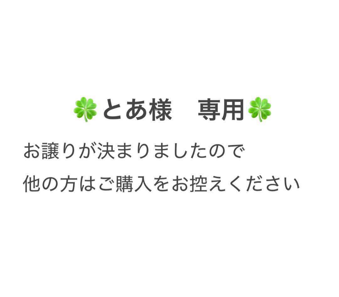 とあ⭐️振袖フルセット　正絹振袖　成人式　レトロ感　クリーニング済み