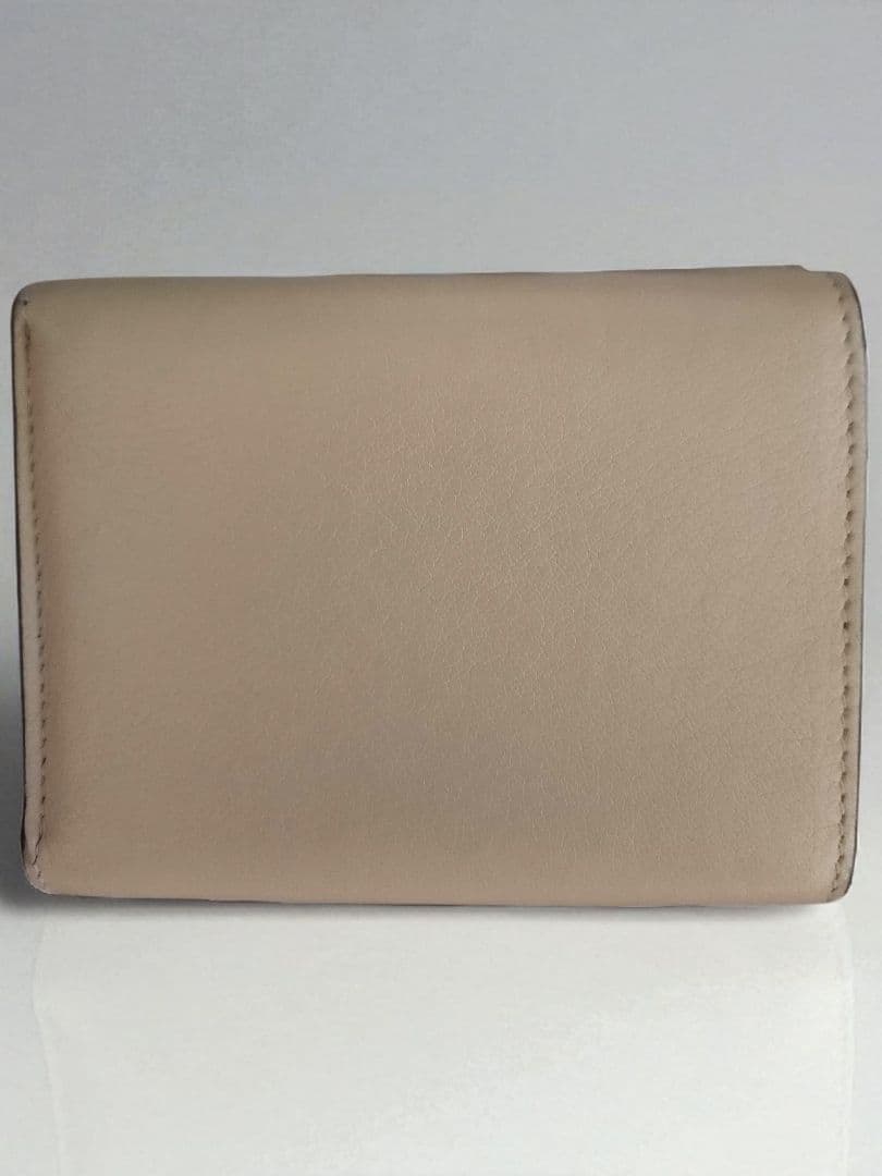 【TomokoN】LOEWE ロエベ 三つ折り財布 ハーバリウム 希少