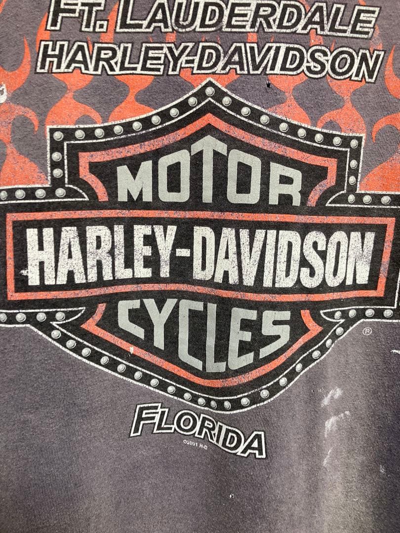 雰囲気◎2001 Harley-Davidson エンジン　フレイム　Tシャツ