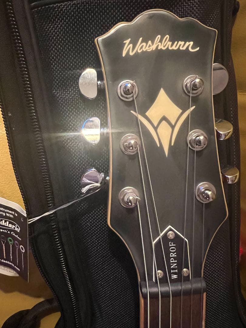 超美品　Washburn Electric Guitar WinProFTR