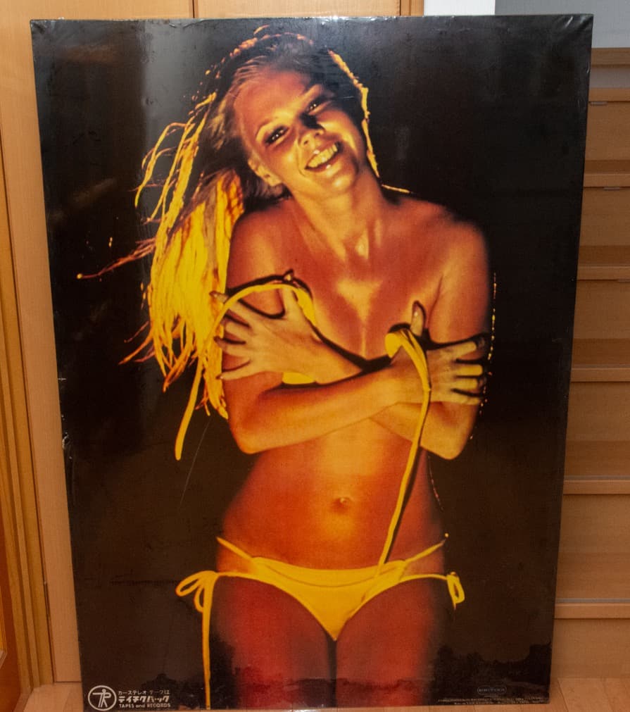 超特大 ユニチカ テイチクパック 水着 パネル 1970年代 高梨豊