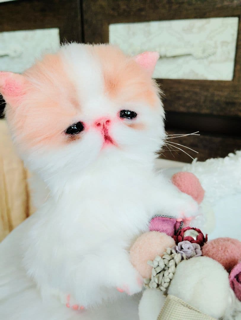 子猫きなこちゃん❤ころころぽっちゃり♡カゴセット♡アートドール♡ぬいぐるみ♡