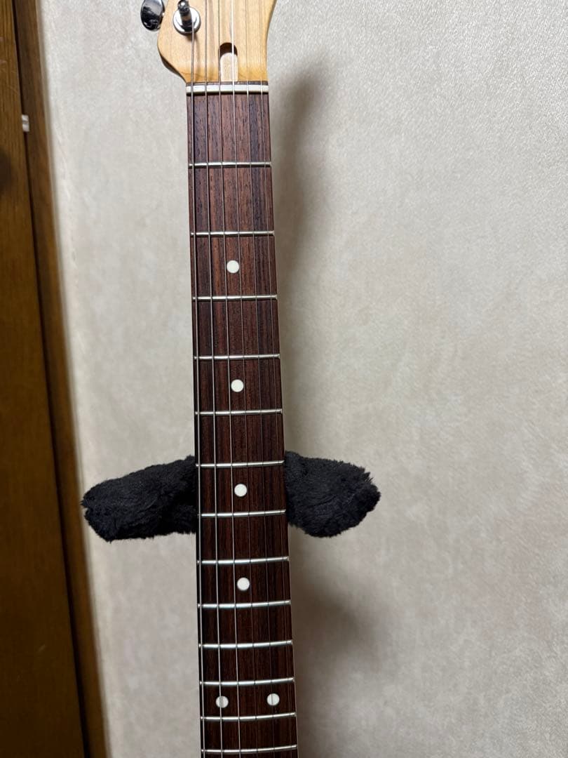 FgN(フジゲン)JTL 6R テレキャスタータイプ