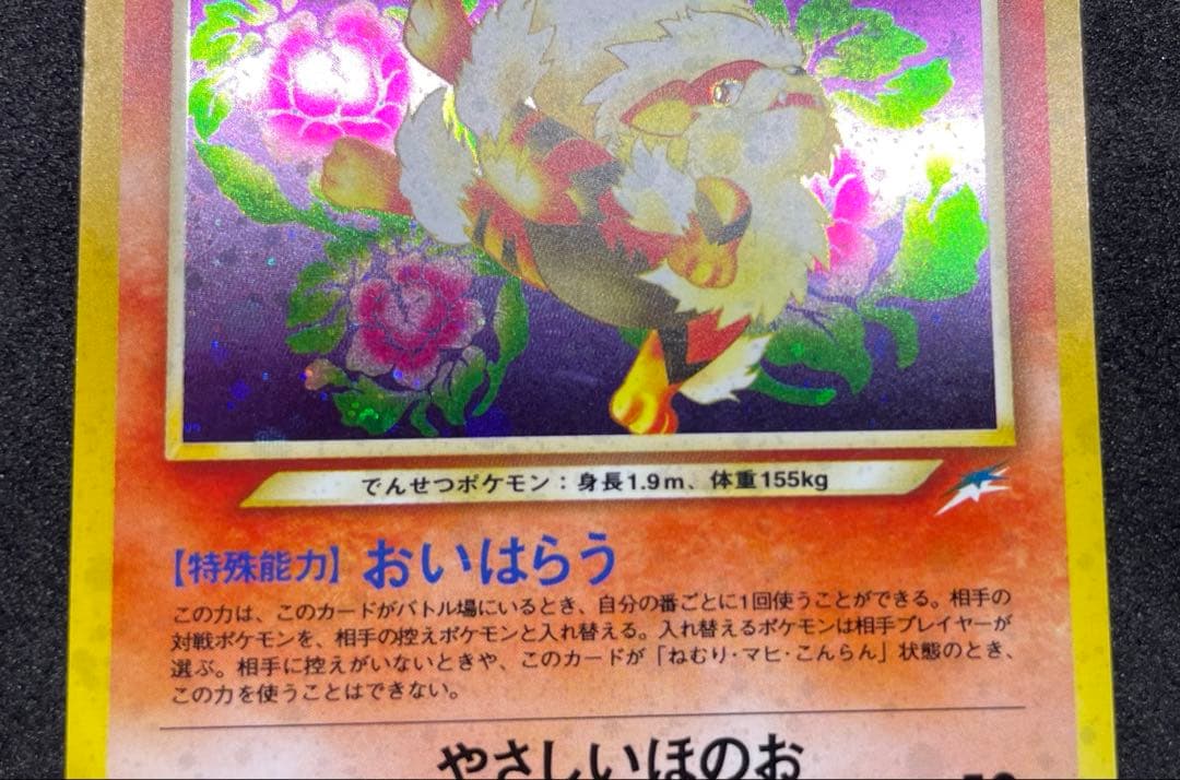 【準美品】旧裏　やさしいウインディ　ポケモンカード　全面ホロ　渦巻きホロ