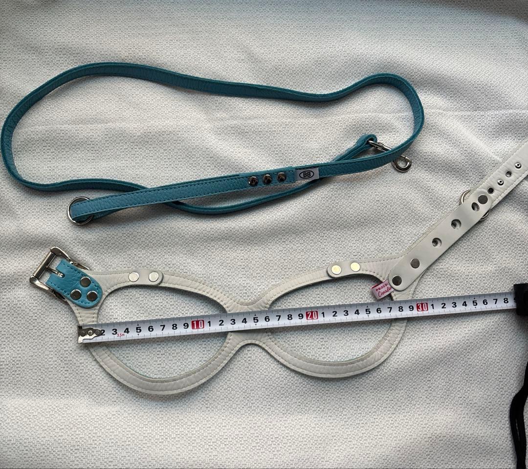 美品バディーベルト&レザーリードセット