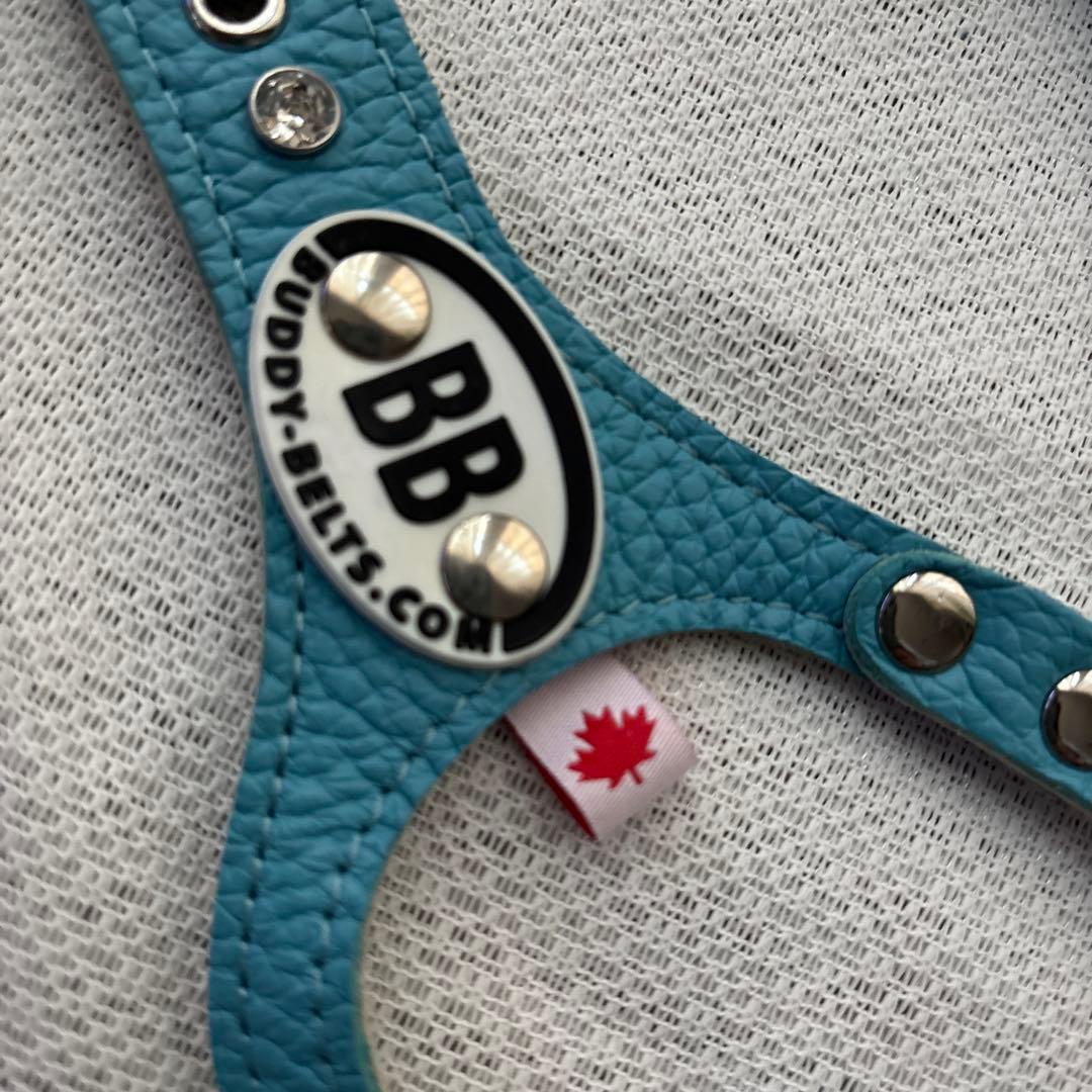 美品バディーベルト&レザーリードセット