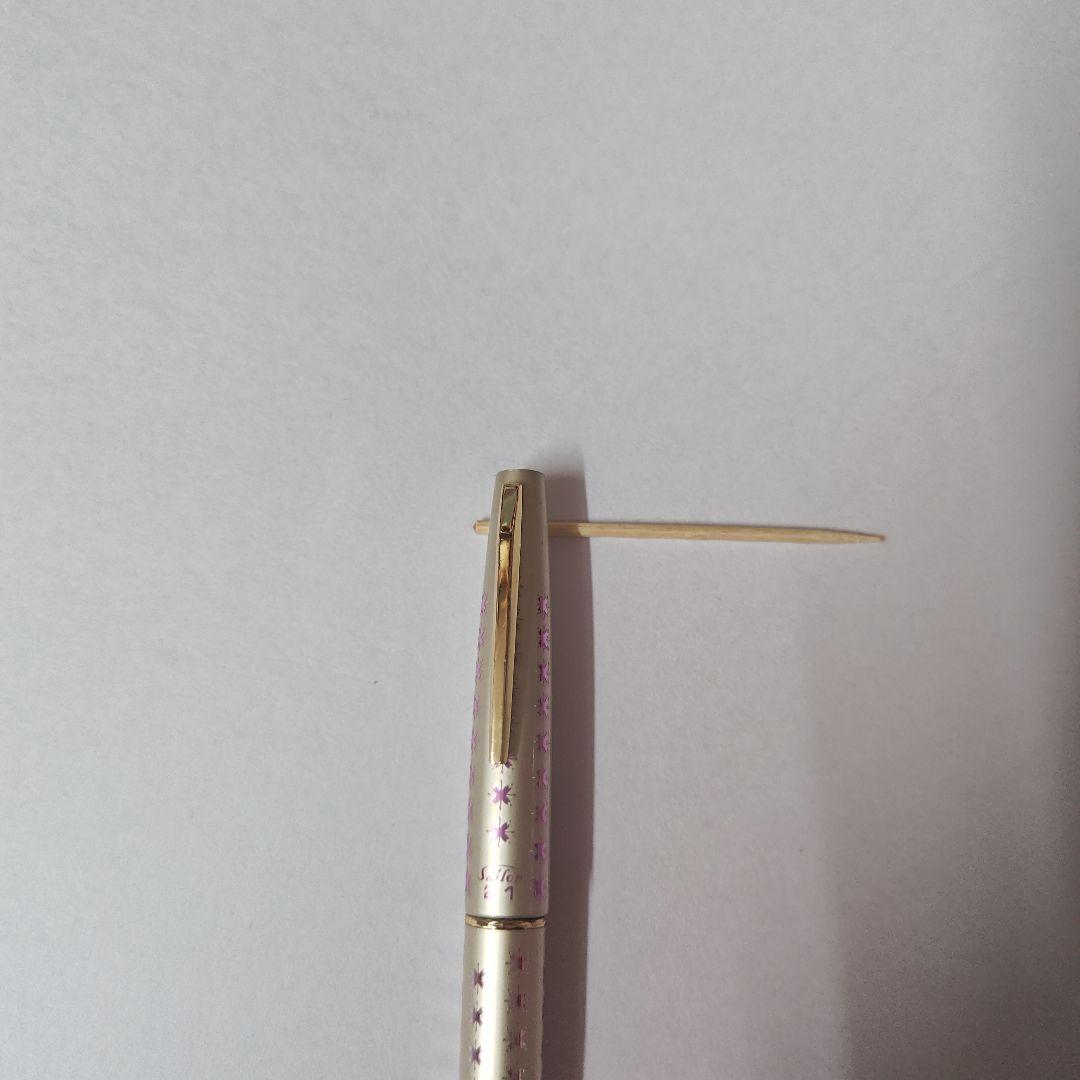 昭和のSailorスリム 21 金ペン先 万年筆 星柄