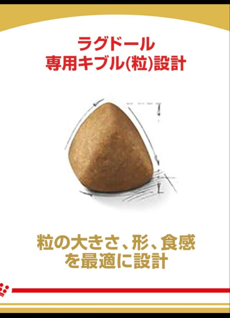 ★新品＆即日発送★ 2kg × 2袋 ロイヤルカナン ラグドール 成猫用