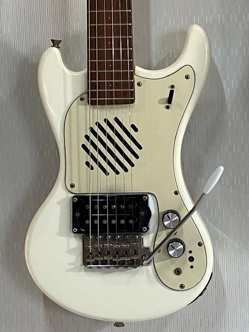 マリンライダー！内蔵アンプ・外部アンプ完動品❣️