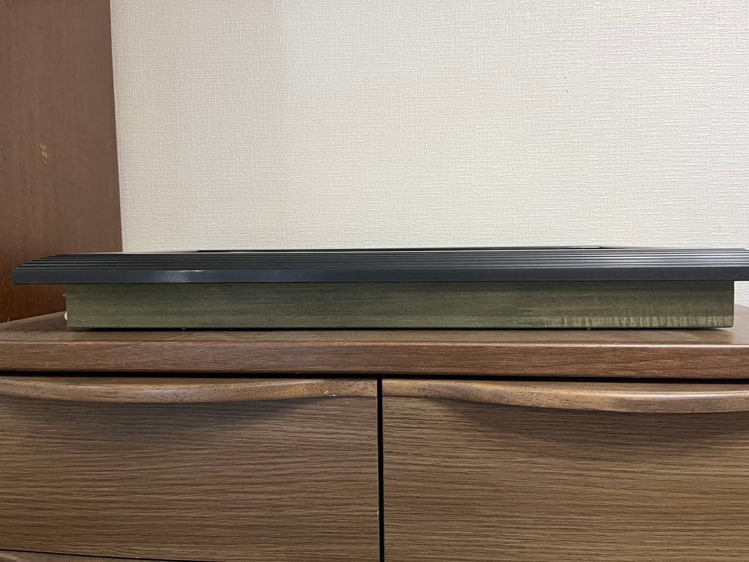 オウムガイ　ハーフカット　額入