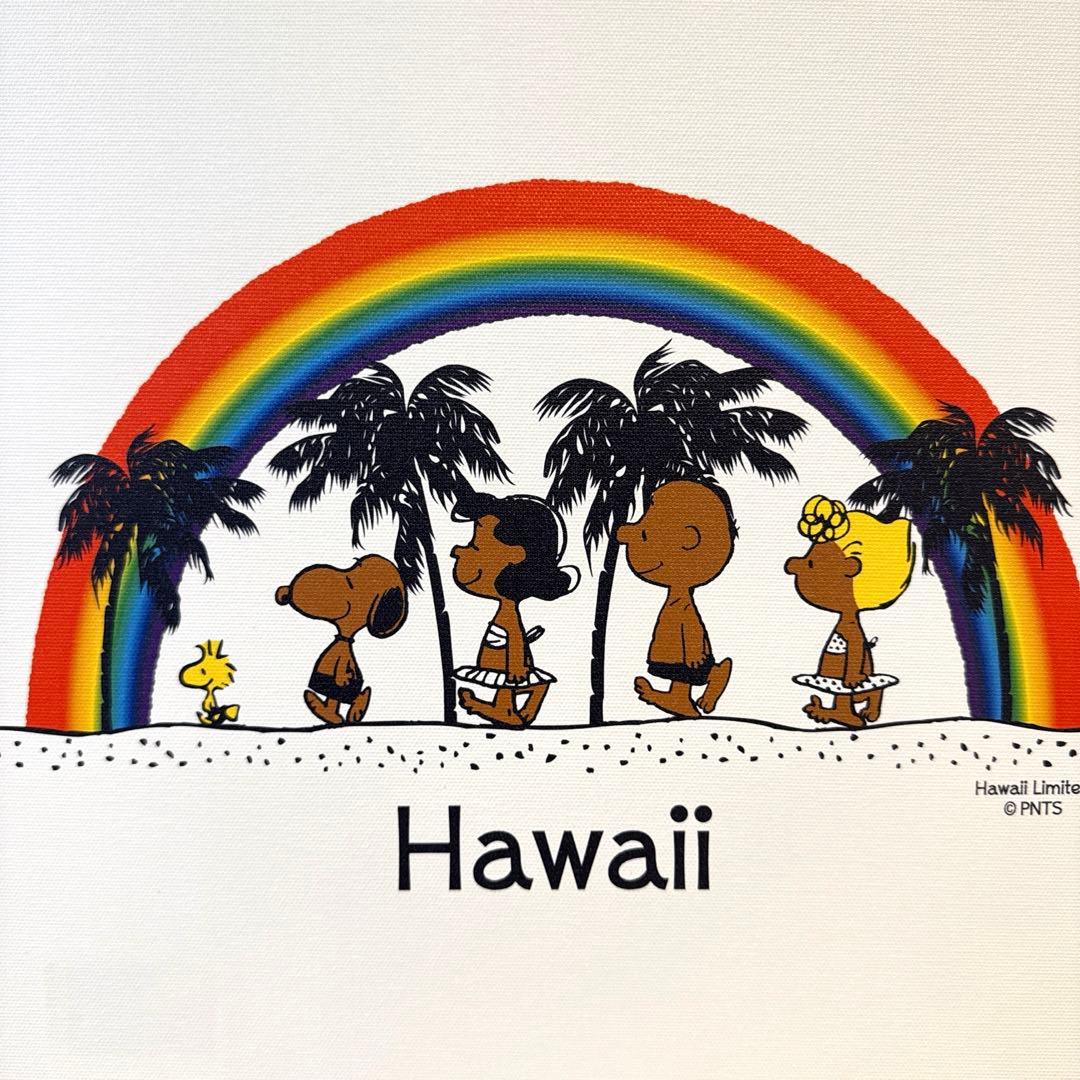 【ラスト1枚】モニホノルルの日焼けスヌーピーキャンバスアート