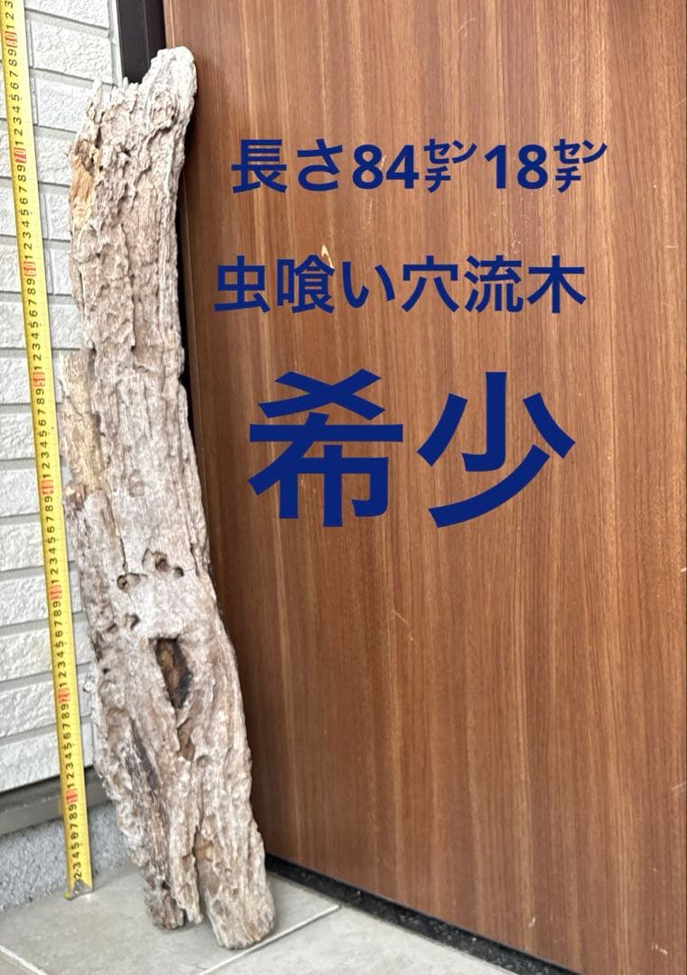 流木インテリア　爬虫類