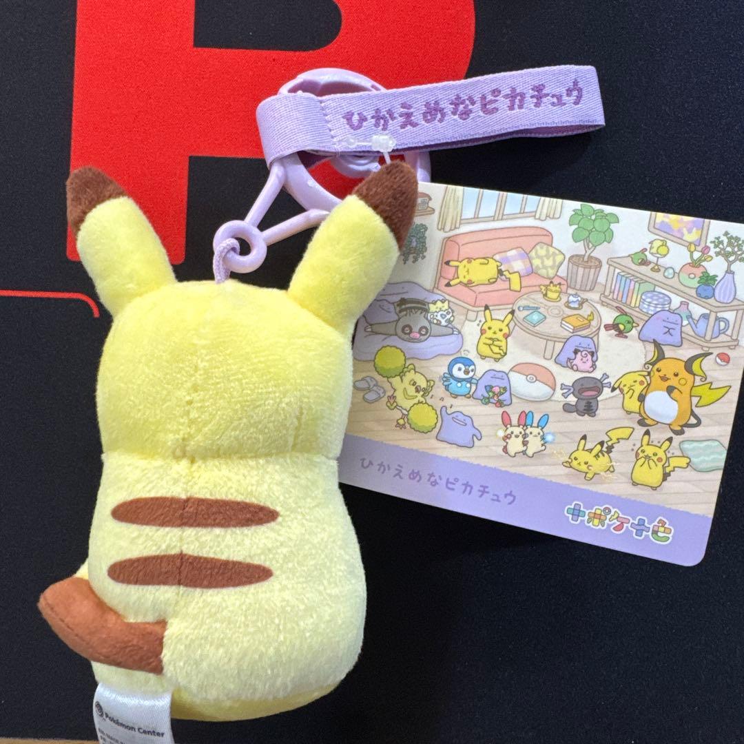 十ポケ十色　ピカチュウ メタモン　ぬいぐるみ
