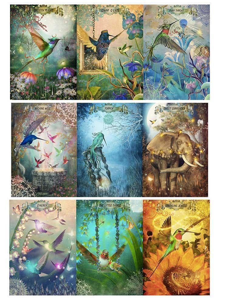 chiaki★フォロー割引