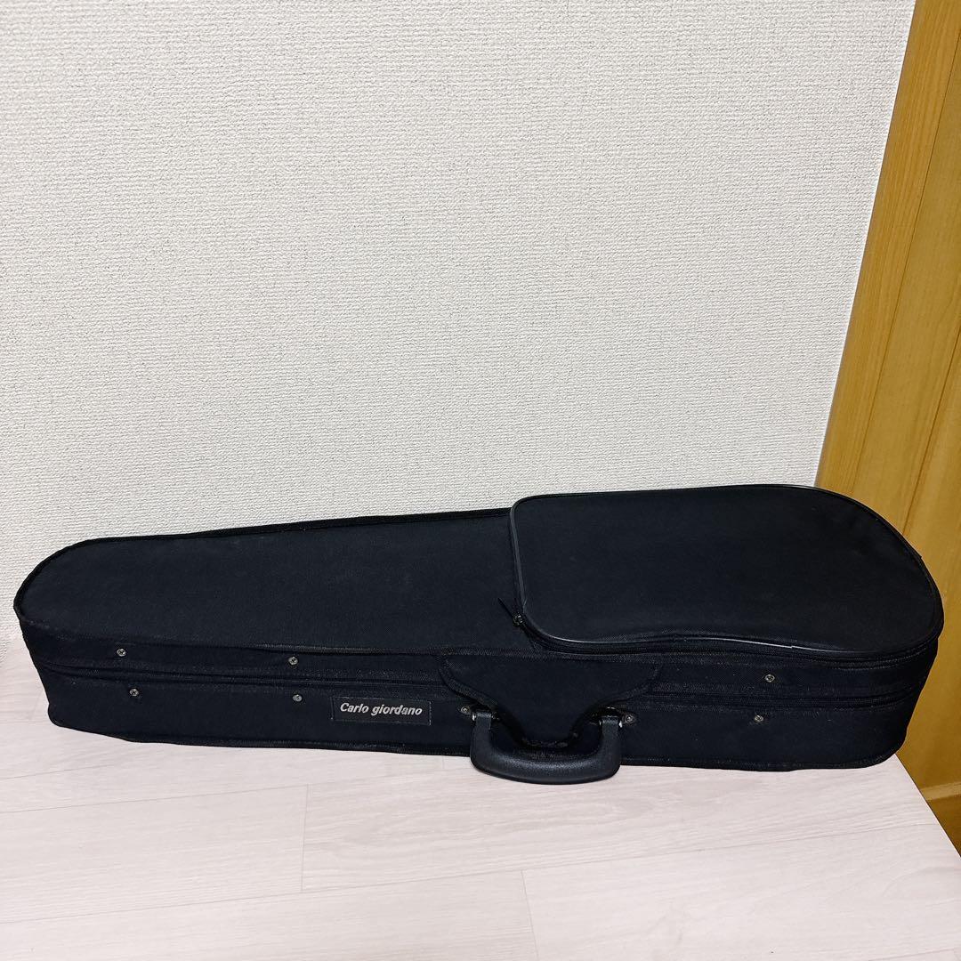 【美品】hallstatt ハルシュタット エレキバイオリン CV-210E