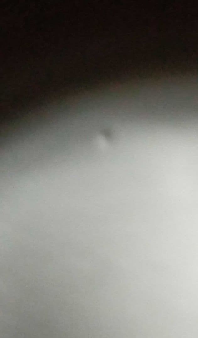 平安堂造　漆匠呉藤友乗作　朱塗黒あみ絵　食籠