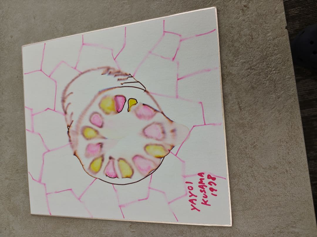 草間彌生さんのサイン色紙６枚セット