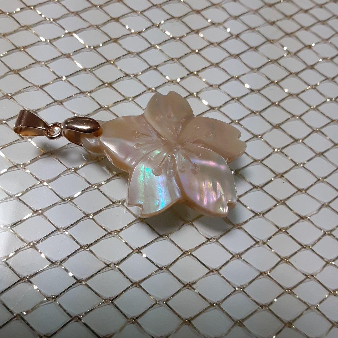 夜光貝　(カフェ結様。お取り引き中　)　『三点セット』