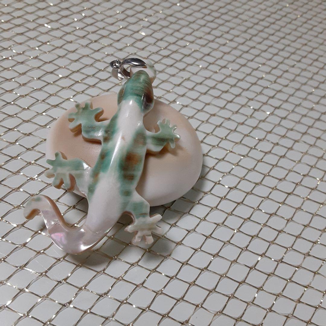 夜光貝　(カフェ結様。お取り引き中　)　『三点セット』