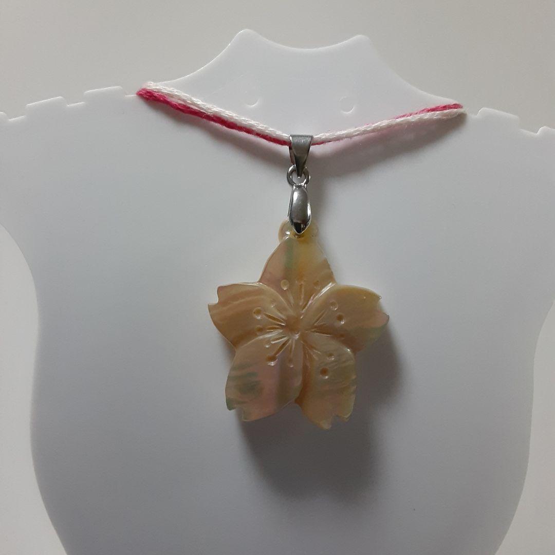 夜光貝　(カフェ結様。お取り引き中　)　『三点セット』