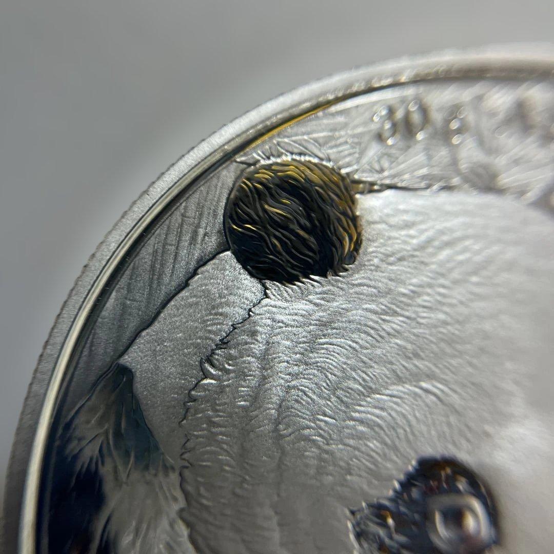 【純銀】2018年パンダ銀貨　10元　カプセル付き③