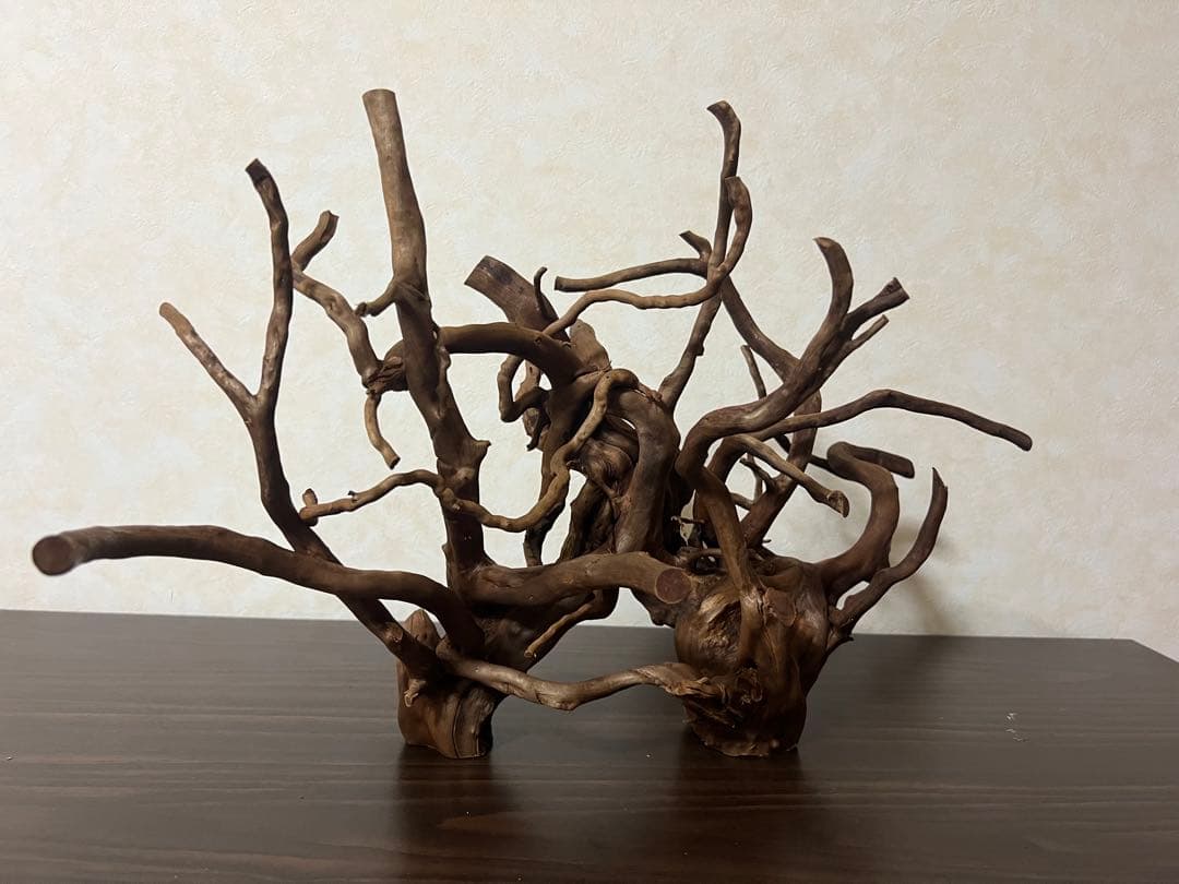 32205 ブランチウッド　流木　アクアリウム 沈水確認済