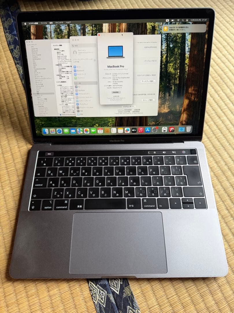 Apple MacBook Pro 2018 メモリ16GB