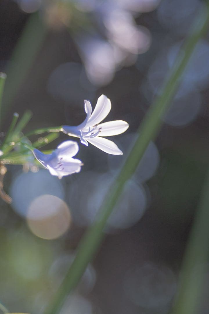 Sonyα6700 ミラーレス一眼カメラ レンズ2種類付き