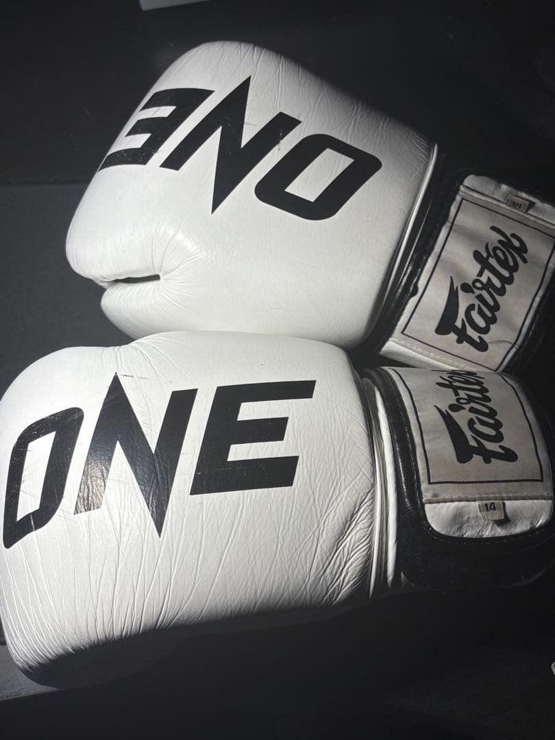 Fairtex ONE グローブ 14oz ※プロフィール必読クッキー
