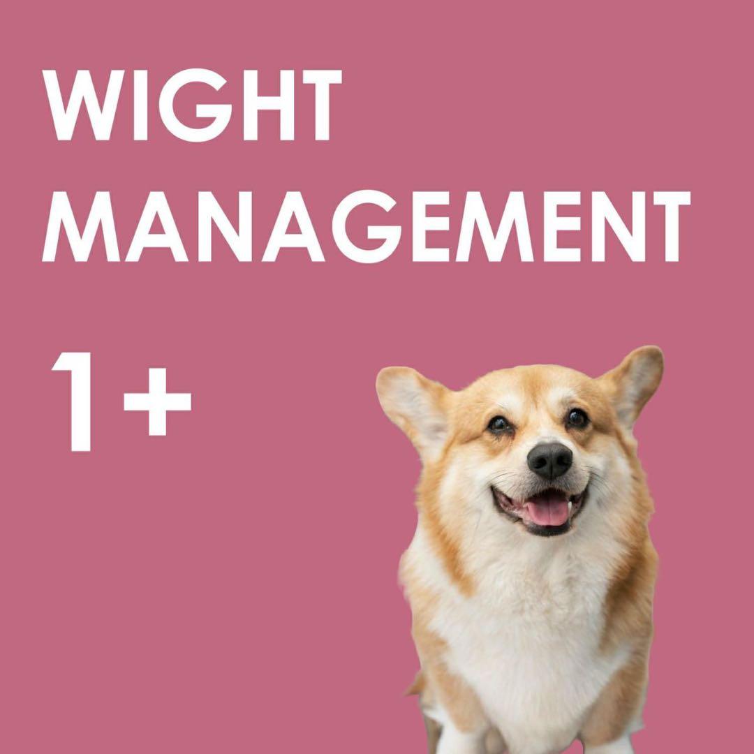 INUMESHI・フィースト　体重管理用・1歳以上　全犬種用　15kg