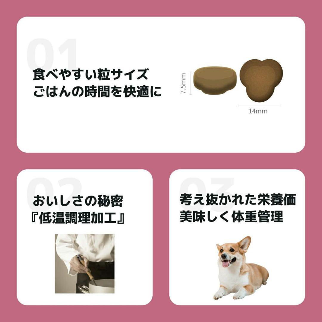 INUMESHI・フィースト　体重管理用・1歳以上　全犬種用　15kg