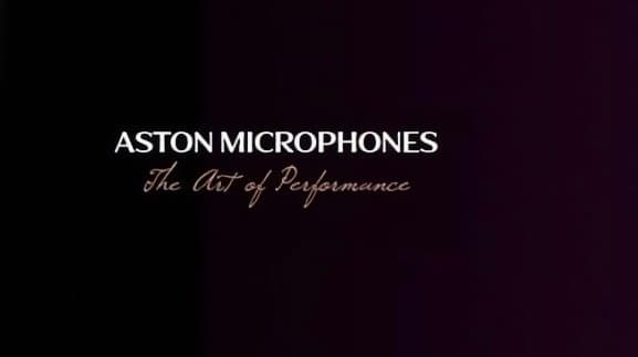 Aston　Stealth　マイクプリ内蔵　ワンオフ制作サイドマウントホルダー付