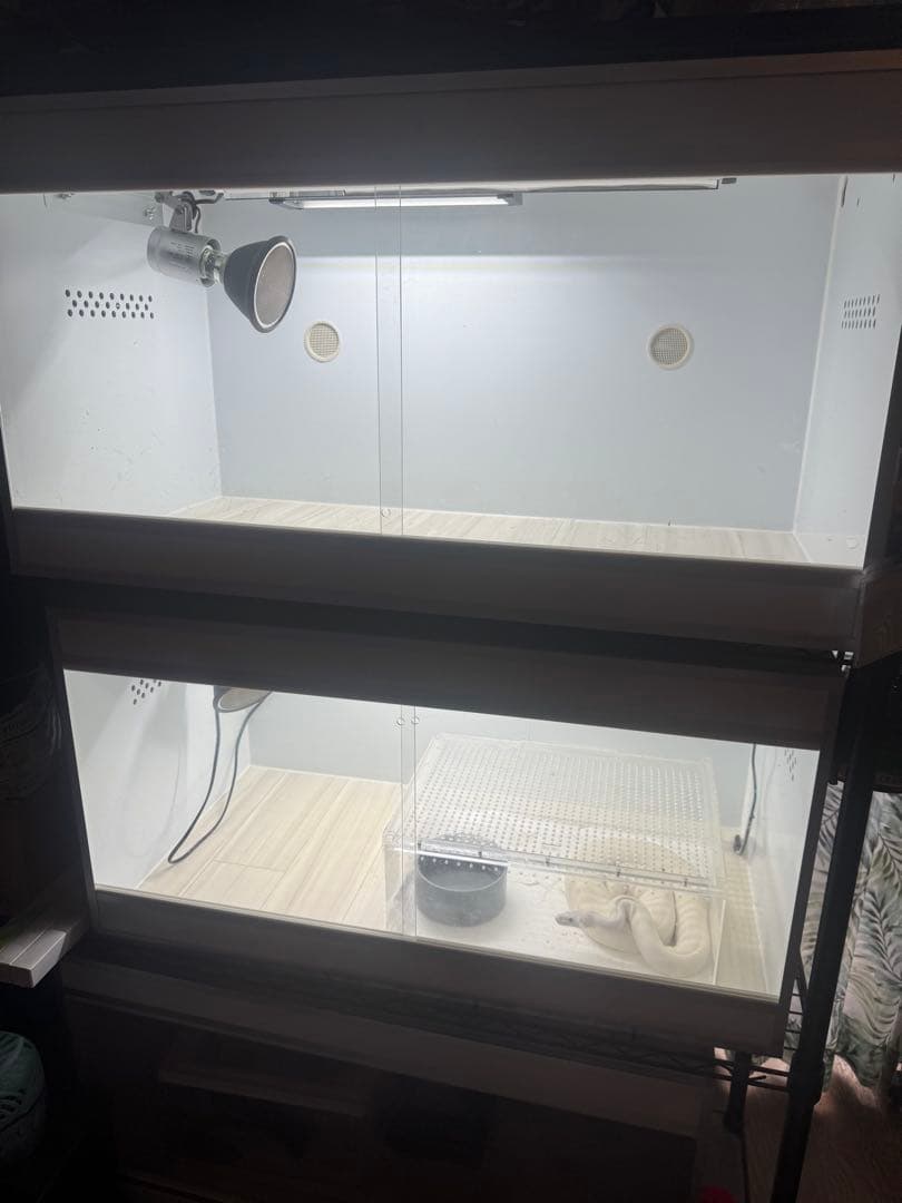 ソフィアさま専用美品◎ポポのケージ✖️2 交換灯3 本 引き取り限定