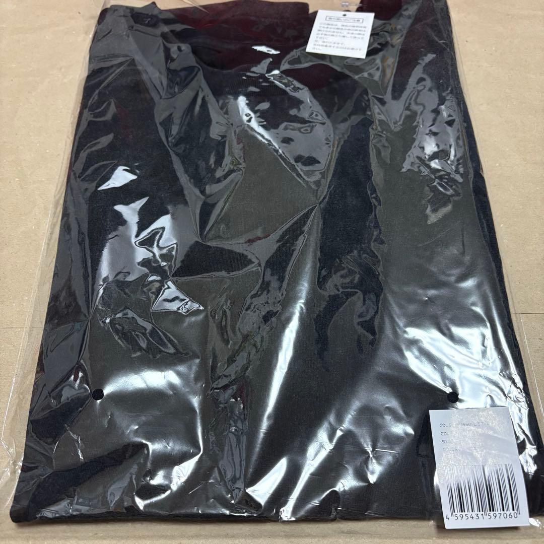 ミュージシャン CDL  Wash L/S Ted