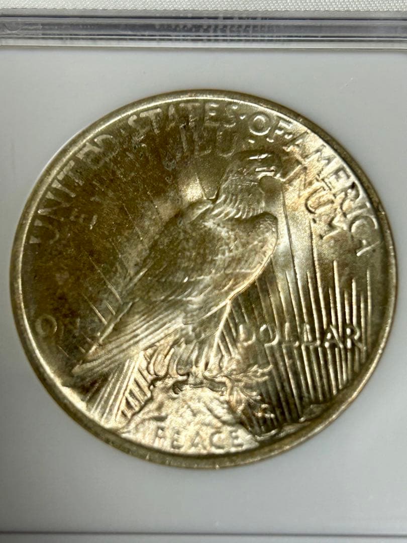 1923 アメリカ ピースダラー 銀貨 NGC MS64 アンティーク 古銭