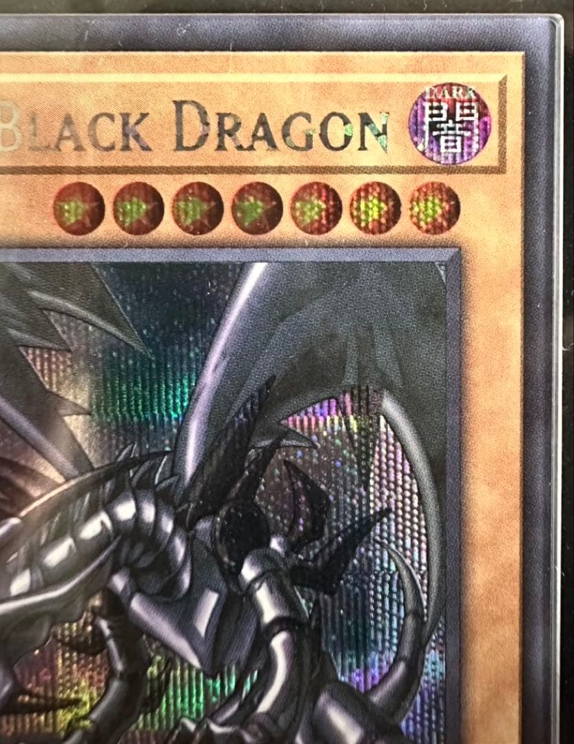 【ARS 10】NIKE レッドアイズ・ブラックドラゴン 真紅眼の黒竜　鑑定品