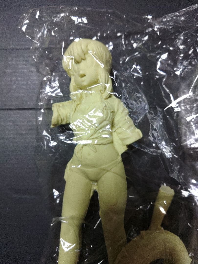 ガレージキット　プラモのモ子ちゃん　ガレキ　田宮　ラジコン　18センチ