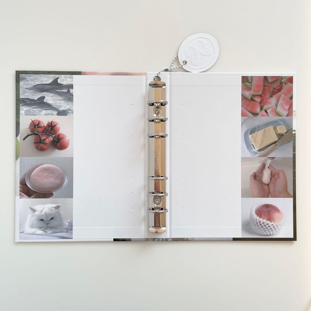 完売品　極希少　韓国　貯金　バインダー　カバー　A5 リフィル　桃