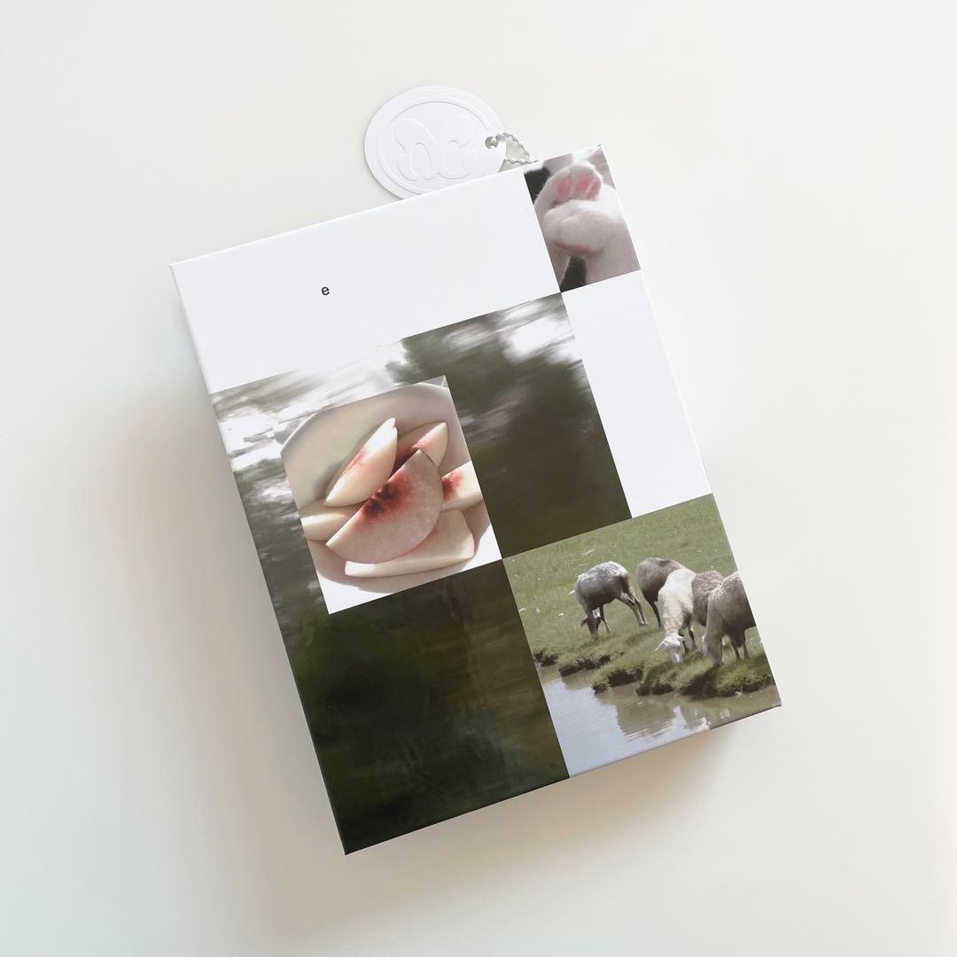 完売品　極希少　韓国　貯金　バインダー　カバー　A5 リフィル　桃