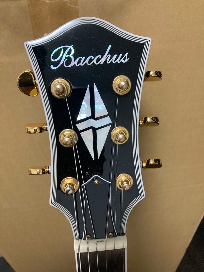 ギター Bacchus DUKE CTM