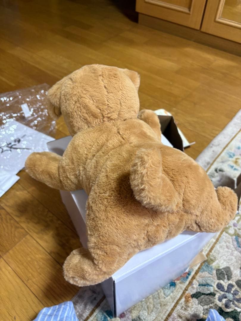 AIロボット　タカラトミー　ダッキースター