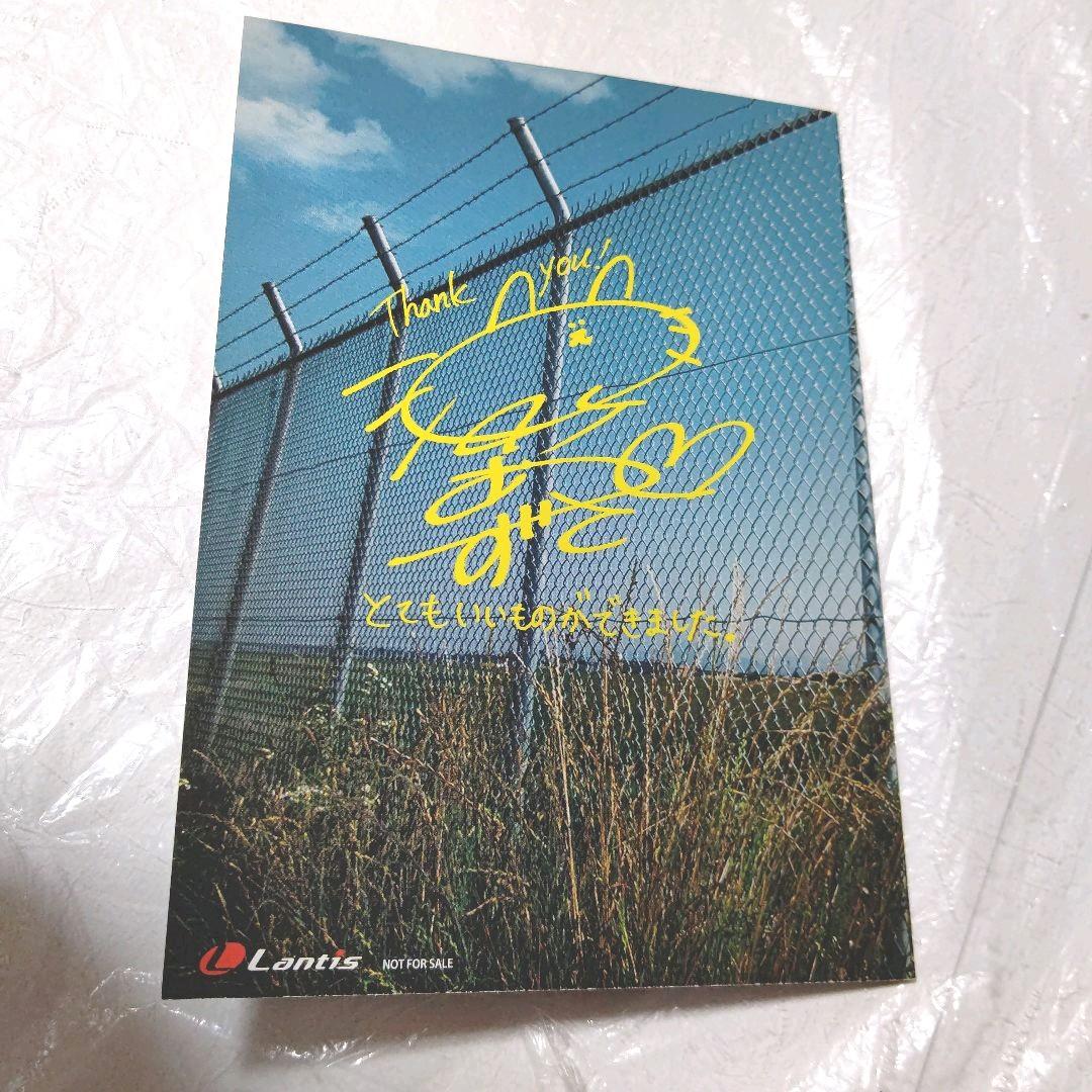 本日限定特別最終大特価◆田所あずさ 激レア 直筆サイン チェキ