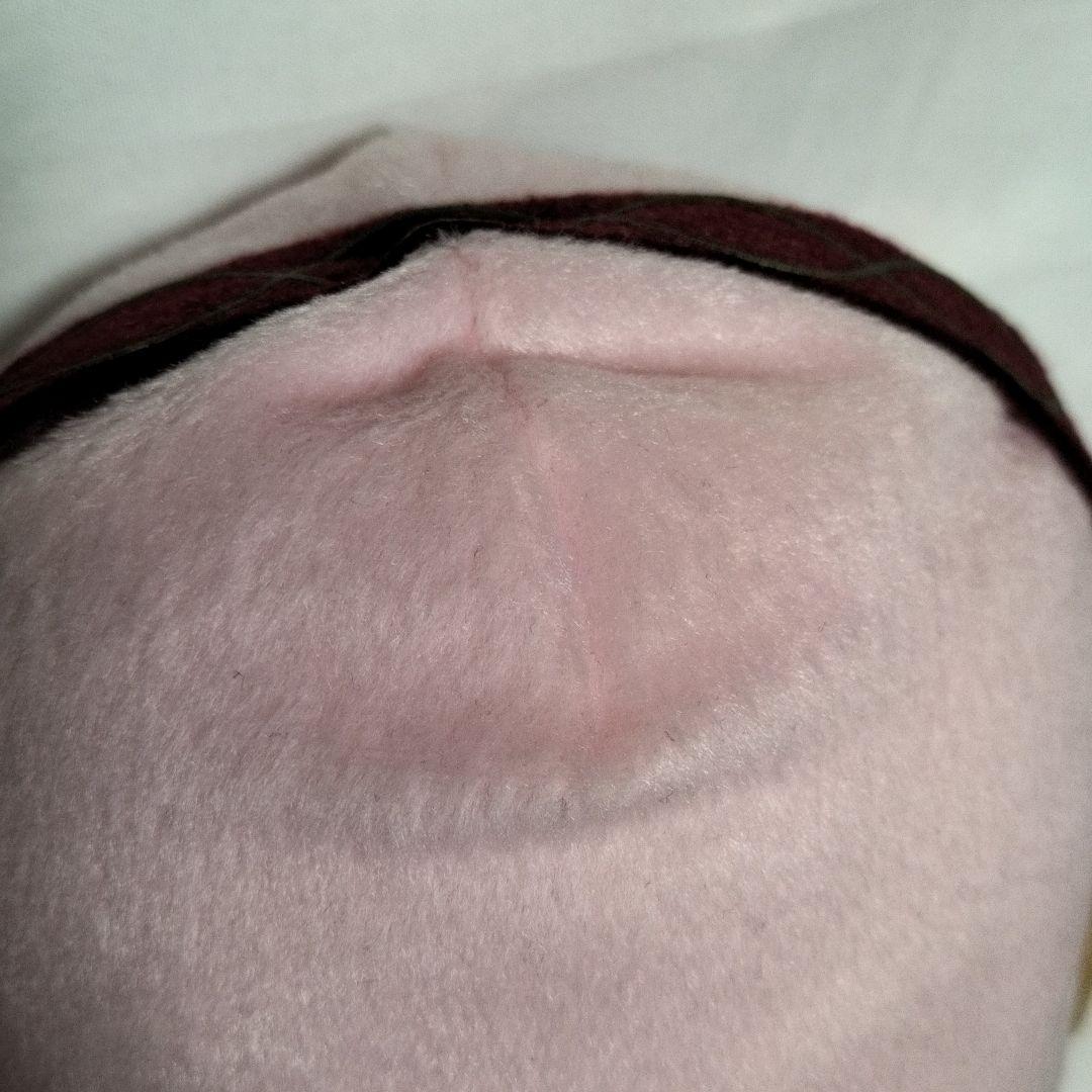 ねんどろいどぷらす　巡音ルカ