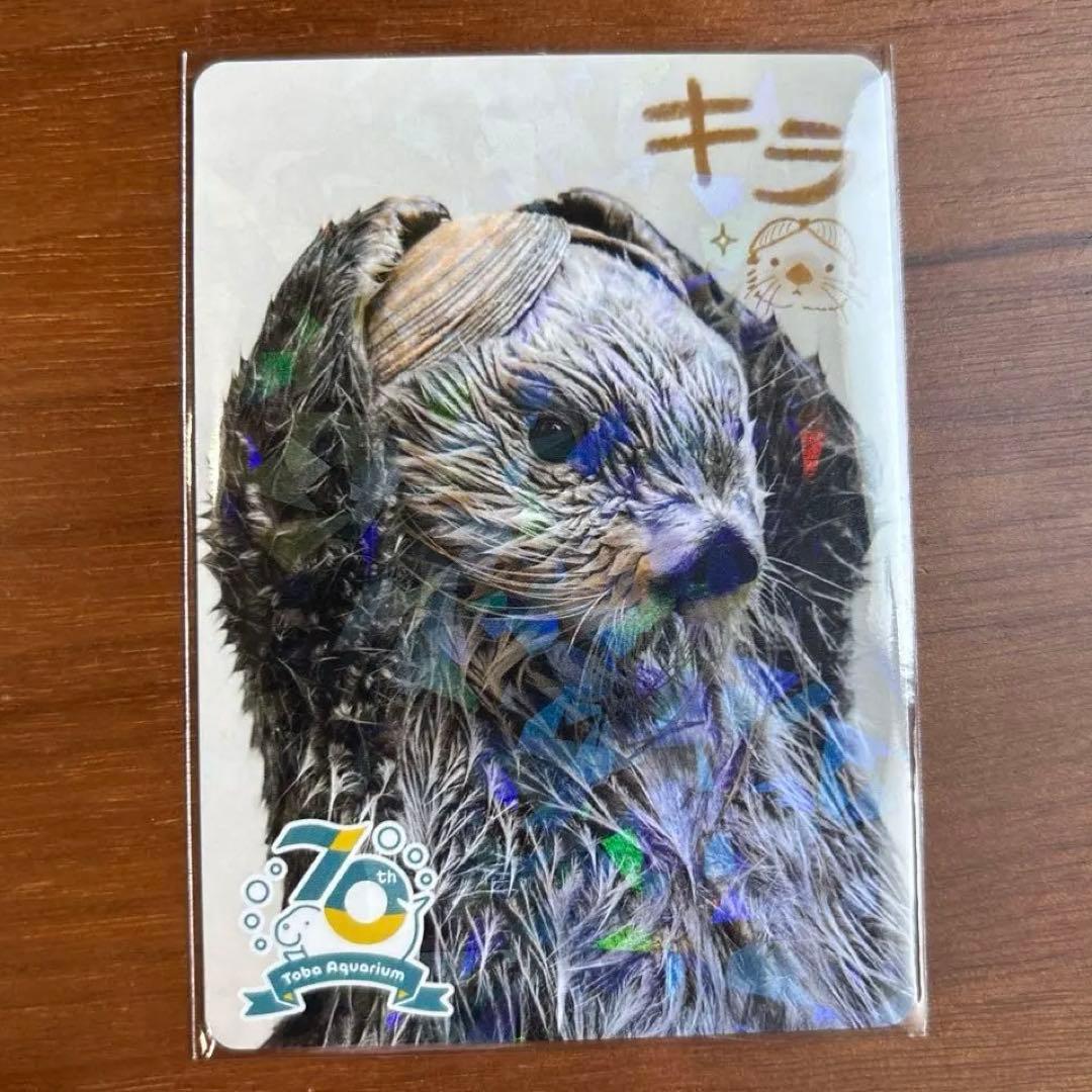 キラ レアカード 鳥羽水族館 70周年コレクションカード